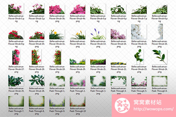 春天灌木花卉摄影照片装饰增效素材下载4