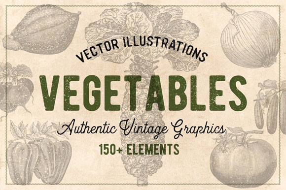 复古手绘蔬菜插画素材下载1