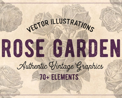 复古老式玫瑰花卉图案插画素材下载