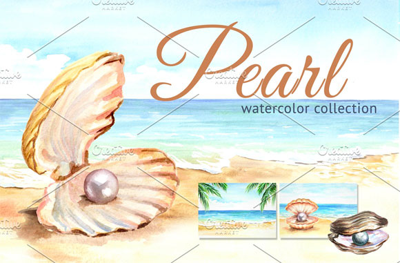 水彩沙滩棕榈夏季背景蚌壳珍珠素材下载1