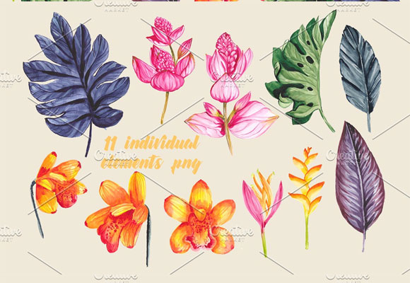 水彩热带植物图案插画设计素材2