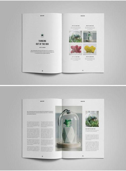时尚室内自然植物摄影杂志目录画册模板4