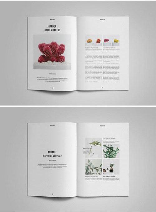 时尚室内自然植物摄影杂志目录画册模板5