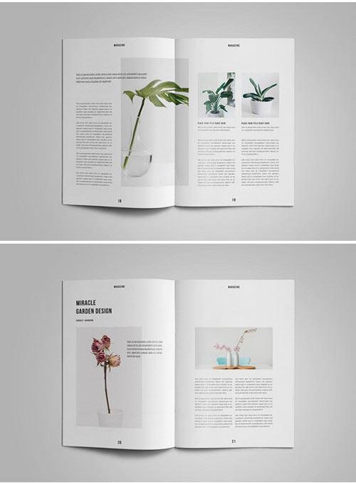 时尚室内自然植物摄影杂志目录画册模板6