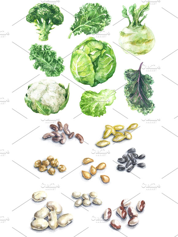 水彩绿色天然蔬菜插画素材下载2