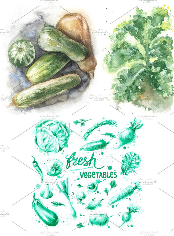 水彩绿色天然蔬菜插画素材下载4
