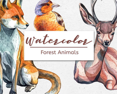 手绘水彩森林动物狐狸鸟鹿兔子熊松鼠素材