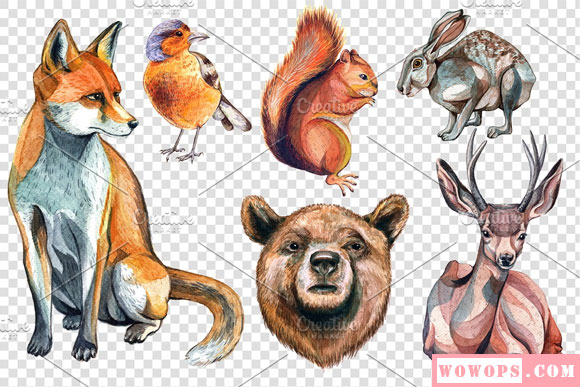 手绘水彩森林动物狐狸鸟鹿兔子熊松鼠素材2