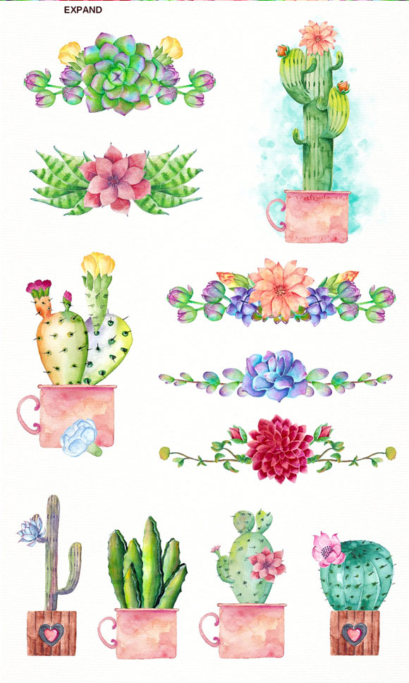 水彩多肉植物花卉图案装饰插画贴纸素材下载2