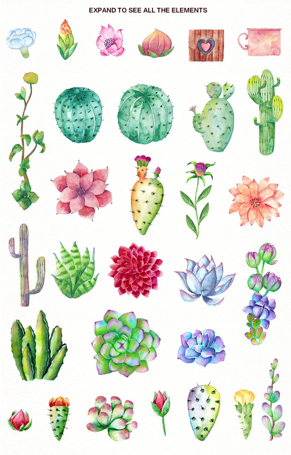 水彩多肉植物花卉图案装饰插画贴纸素材下载3