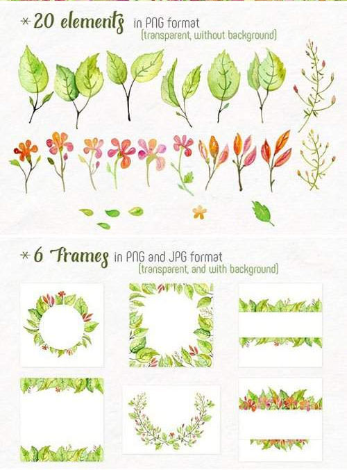 水彩枝条花卉图案叶子框装饰元素下载2