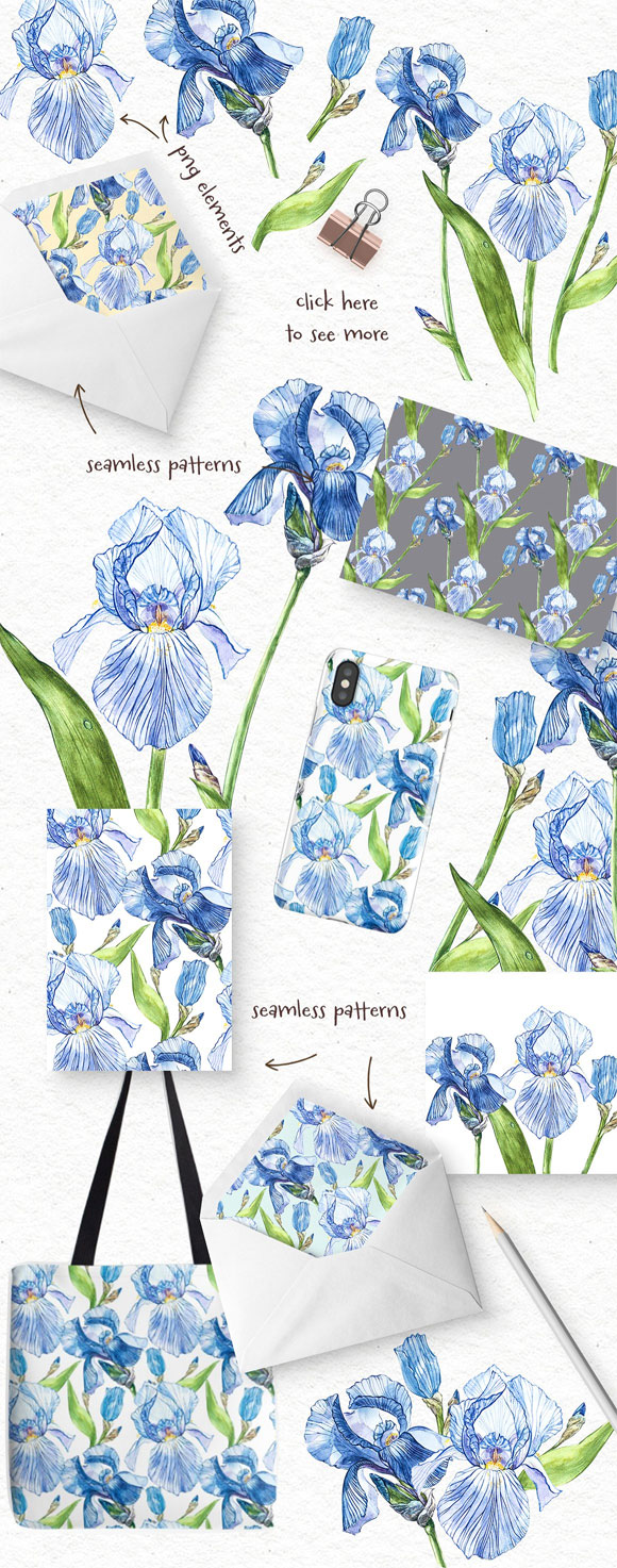 蓝色鸢尾叶植物花卉图案插画下载2