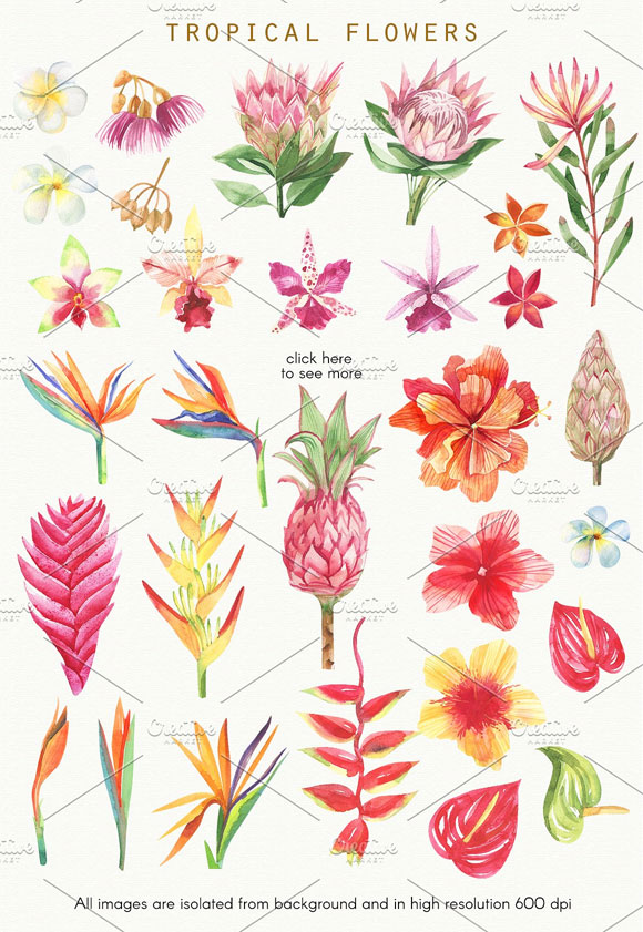 水彩热带植物叶子花卉图案素材下载3