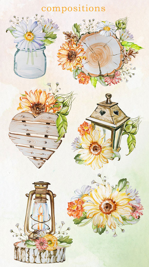 水彩花卉玻璃瓶花瓶向日葵甘菊叶子插画下载3
