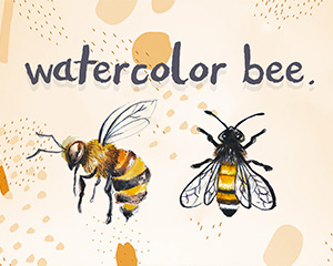 手绘蜜蜂PNG插画图片