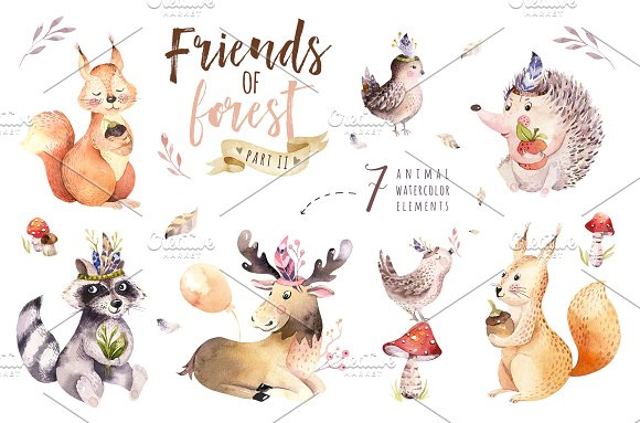 手绘花卉蘑菇松鼠刺猬驼鹿橡动物插画PNG素材图2