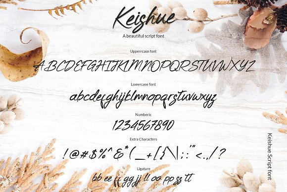 Keishue Script英文字体下载2