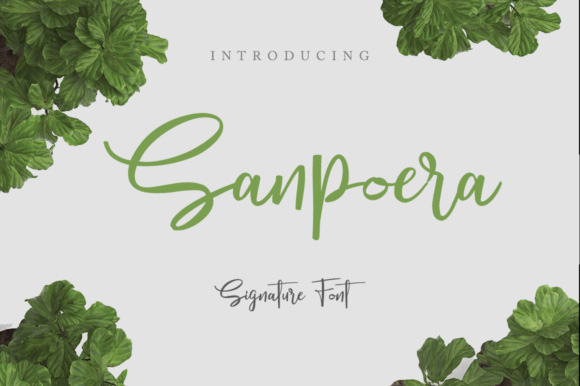 Sanpoera英文字体1