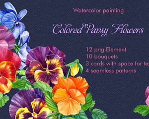手绘水彩紫罗兰花朵png素材图片
