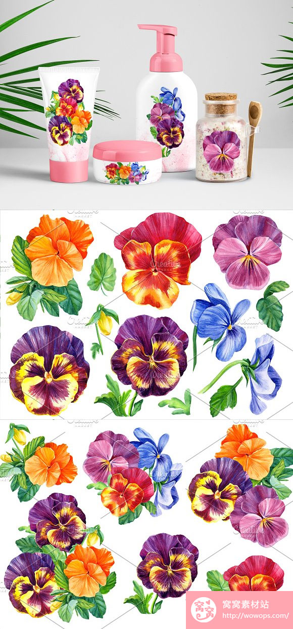手绘水彩紫罗兰花朵png素材图片3