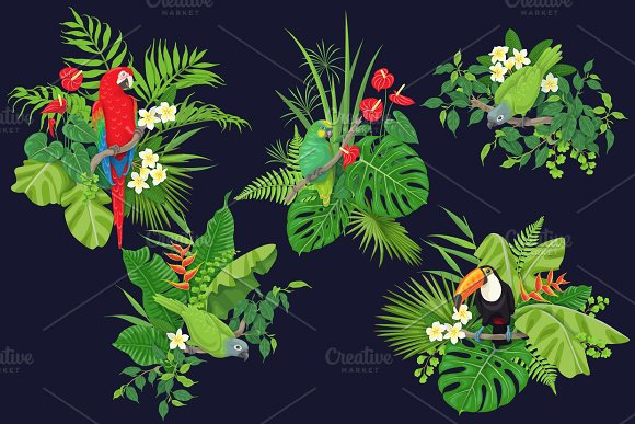 热带手绘植物海报花边边框PNG免扣素材2