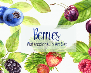 手绘水彩蓝莓浆果PNG素材图片