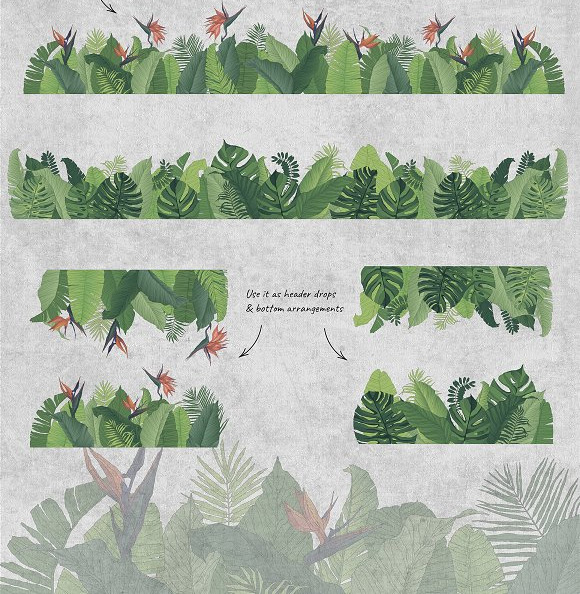 绿色手绘热带植物龟背竹海报花边PNG图片5