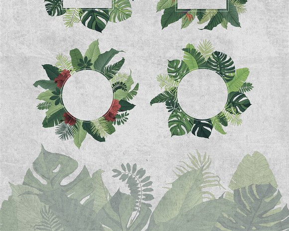 绿色手绘热带植物龟背竹海报花边PNG图片8