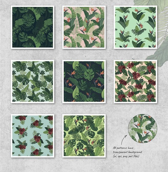 绿色手绘热带植物龟背竹海报花边PNG图片10
