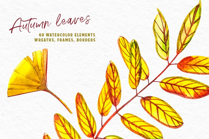手绘水彩枯黄的枫叶叶子PNG素材图片2