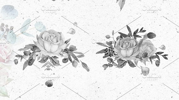 手绘玫瑰花朵png素材10