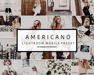 LR预设下载Mobile Lightroom Preset AMERICANO 2642217