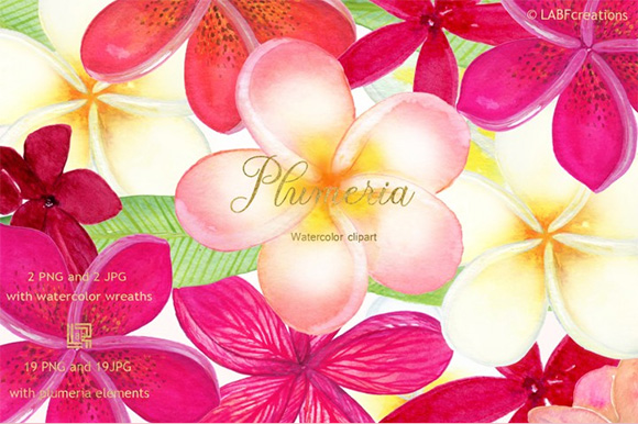 手绘花朵素材Plumeria Tropical watercolor flowers 34854221