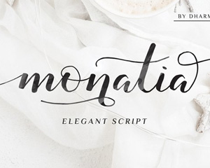 英文字体Monatia - Elegant Script 2925676