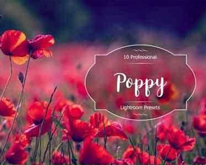 小清新LR预设下载Poppy Lr Presets