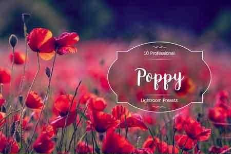 小清新LR预设下载Poppy Lr Presets1