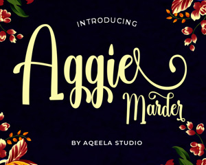 Aggie Marder英文字体下载