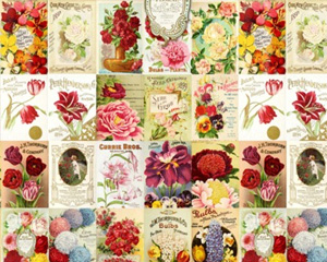 森系复古水彩做旧手绘玫瑰三色堇百合风信子卡片花卉素材PNG免扣