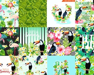夏日清新热带植物绿叶花虫小鸟海报杂志背景图