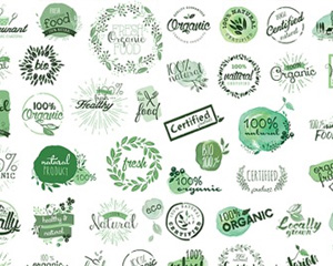 EPS矢量清新绿色手绘涂鸦品牌形象食品LOGO标志店标水印设计素材 