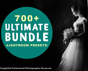 700+婚礼胶片哑光Lightroom预设下载