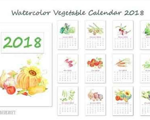 2018年手绘蔬菜水果台历日历模板